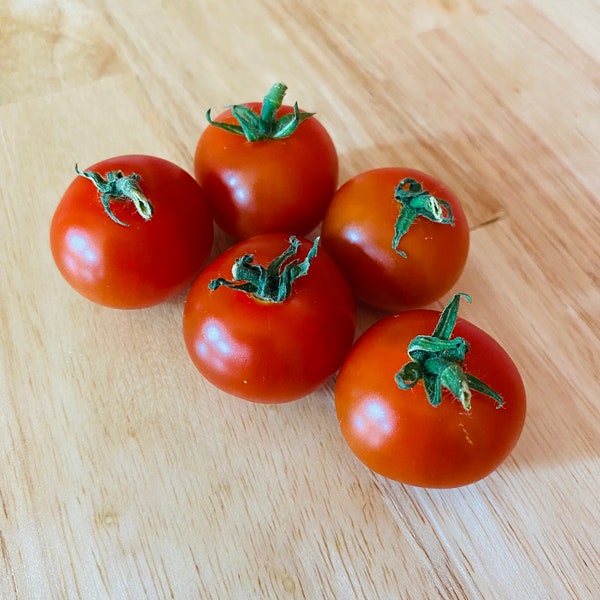 Vilma Micro Tomato Seeds