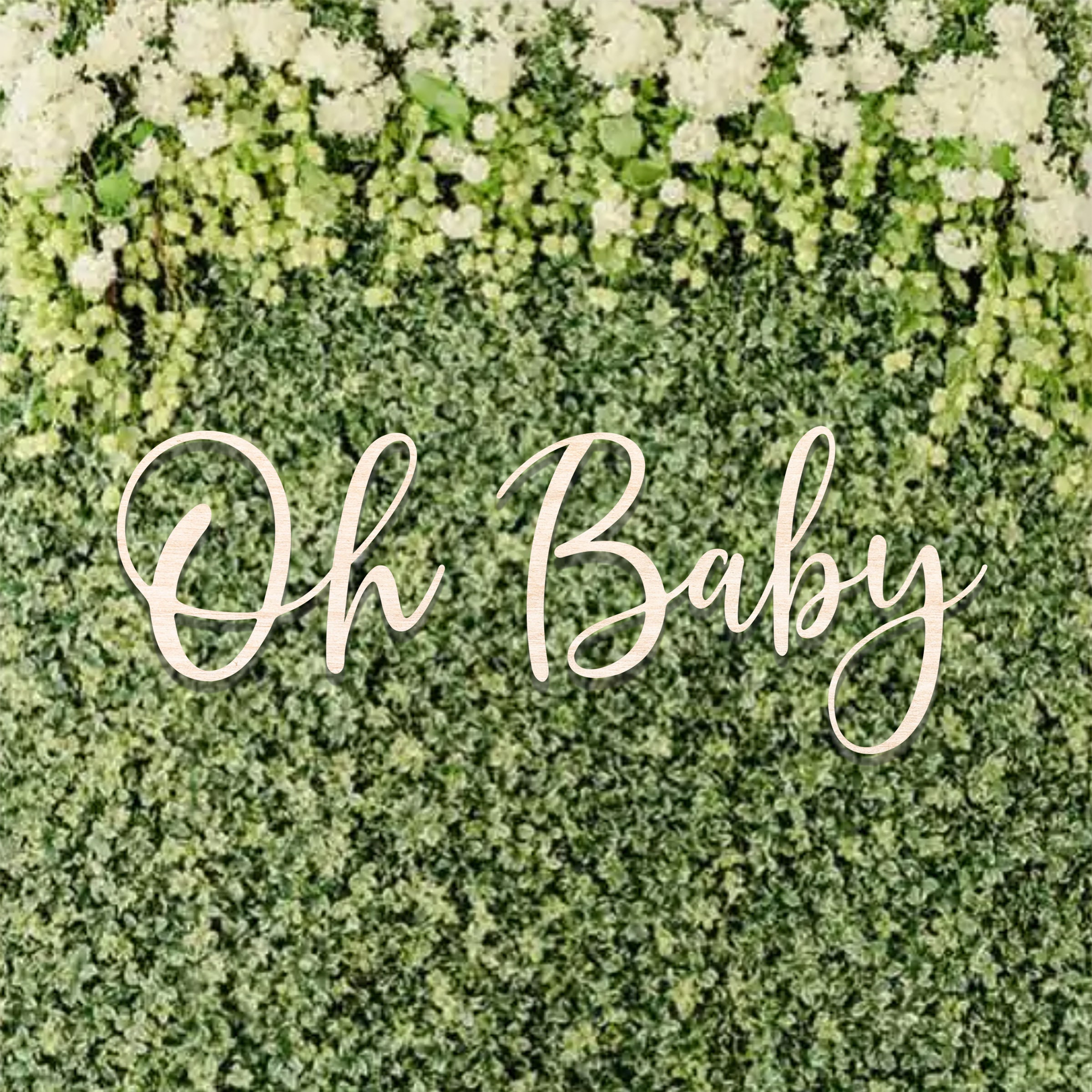 Baby Shower Backdrop Decor Oh Baby Custom Name Sign Wood Etsy