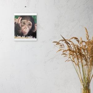 Charming Chimpanzees: Bay Chimps Picture Frame with hangers