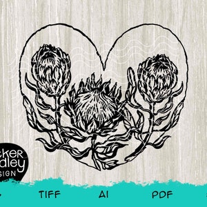 Protea Love Flower • SVG-Schnittdatei für Cricut + Silhouette Schneidemaschine • Clipart • Herz • Floral • Jäten • Südafrikanisch