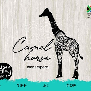 Proudly South African Afrikaans Kameelperd Camel Horse Giraffe with Proteas • SVG Cut file for Cricut + Silhouette cutting machines • Funny