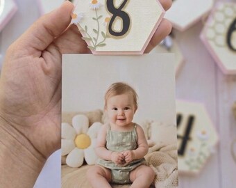 First Bee Day Milestone Banner, One Bee Theme