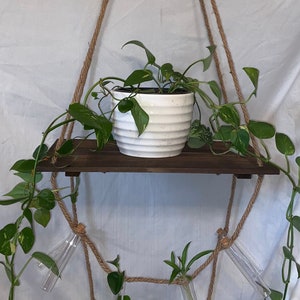 Propagation Plant Holder, Crystal Holder, Shelf, Unique