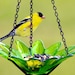 see more listings in the Bird Feeders section