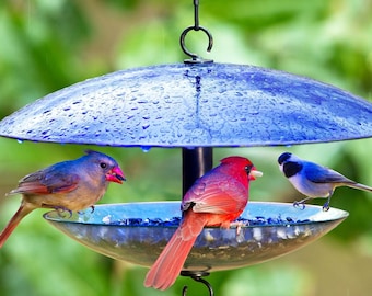 Comedero para pájaros con cúpula deflectora / Comedero colgante de vidrio para pájaros, decoración de jardín al aire libre, adorno de patio y regalo único para ella