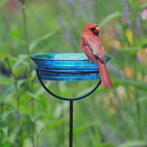 Bird Bath & Bird Feeder Garden Stake – Sturdy Metal Frame, 20 oz, Cardinal and Songbird Glass Feeder for Outdoor Decor or Gift for Her