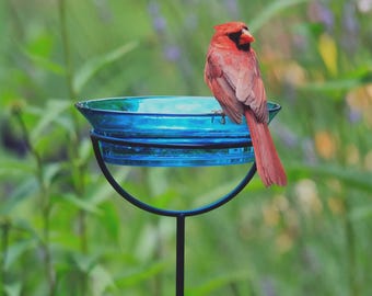 Bird Bath & Bird Feeder Garden Stake – Sturdy Metal Frame, 20 oz, Cardinal and Songbird Glass Feeder for Outdoor Decor or Gift for Her