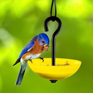 Single Hanging Poppy Bird Feeder with Nylon Rope