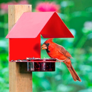 Cottage Bird Feeder - Colorful Metal Bird House, Garden and Yard Decor for Cardinals, Orioles, Bluebirds, Woodpeckers