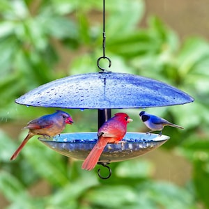 Baffle Dome Bird Feeder – Weather Resistant Glass Feeder, Hanging Outdoor Garden Decor for Birds, Yard Accent, & Unique Gift for Her