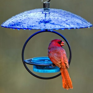 Petite Glass Baffle Dome –  Bird Feeder Accessory, Glass Dome for Hanging Bird Feeders for Garden Decor and Bird Lovers