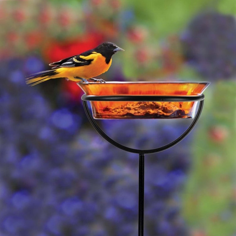 An Oriole bird rests on the edge of a bright orange-colored feeder bowl. The feeder is held up by a rust-resistant metal stake. Silhouettes of flowers can be seen in the background.