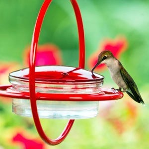 Hummble Bold Hummingbird Feeder - Eco-Friendly Recycled Glass & Metal, Garden Gift for Her - 4 Port Nectar Dish for Outdoor Hanging Decor image 2