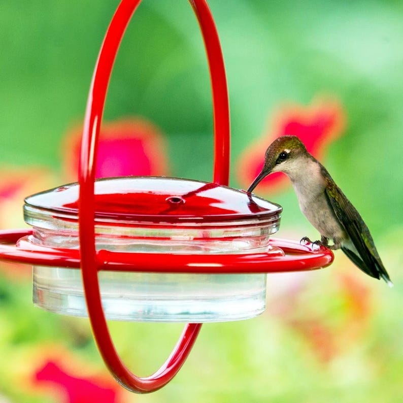 Hummble Bold Hummingbird Feeder - Eco-Friendly Recycled Glass & Metal, Garden Gift for Her - 4 Port Nectar Dish for Outdoor Hanging Decor image 2