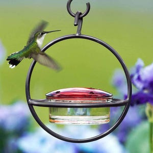 Hummble Bold Hummingbird Feeder - Eco-Friendly Recycled Glass & Metal, Garden Gift for Her - 4 Port Nectar Dish for Outdoor Hanging Decor image 12