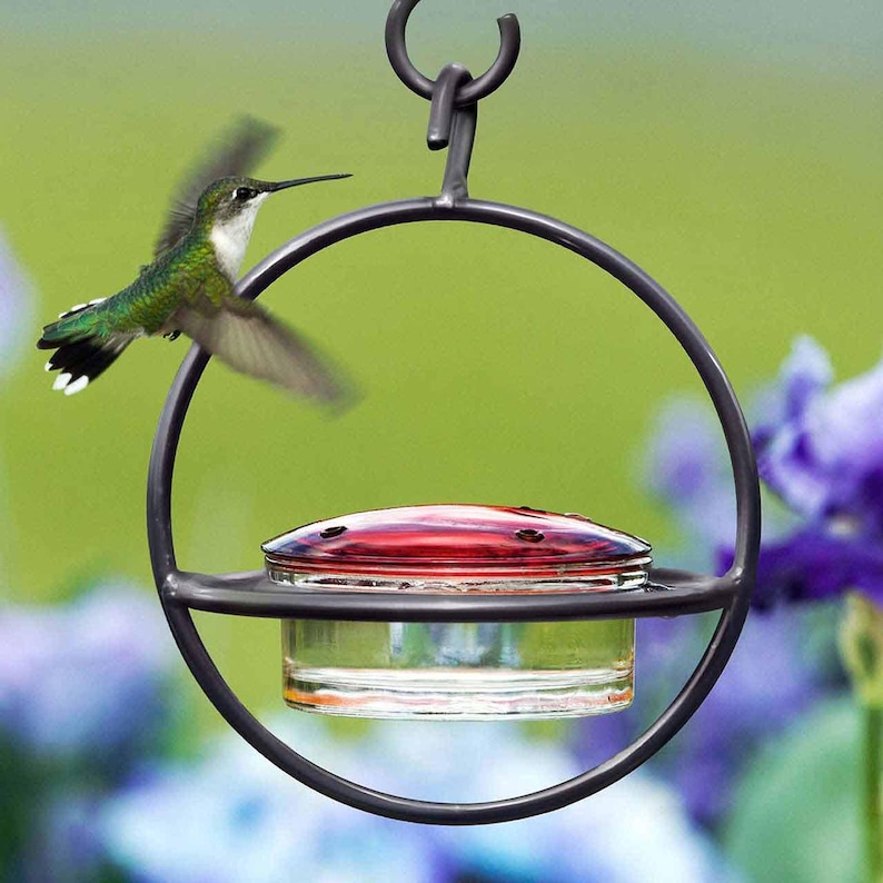 Hummble Bold Hummingbird Feeder - Eco-Friendly Recycled Glass & Metal, Garden Gift for Her - 4 Port Nectar Dish for Outdoor Hanging Decor image 12