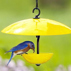 Single Poppy Bird Feeder with Baffle and Steel Core Rope