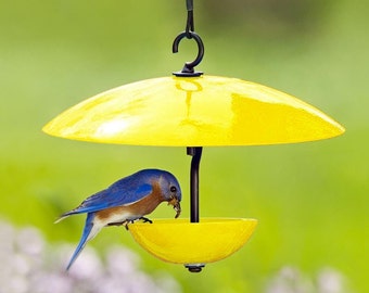 Single Poppy Bird Feeder with Baffle and Steel Core Rope