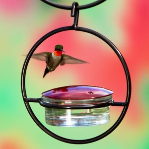 Closeup of our Hummble Slim feeder against a background of greens and oranges. A sole hummingbird is coming in for a landing at one of the four feeding ports.