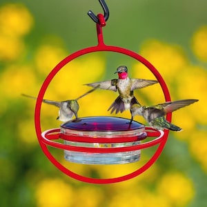 Hummble Bold Hummingbird Feeder - Eco-Friendly Recycled Glass & Metal, Garden Gift for Her - 4 Port Nectar Dish for Outdoor Hanging Decor image 1