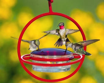 Hummble Bold Hummingbird Feeder - Eco-Friendly Recycled Glass & Metal, Garden Gift for Her - 4 Port Nectar Dish for Outdoor Hanging Decor