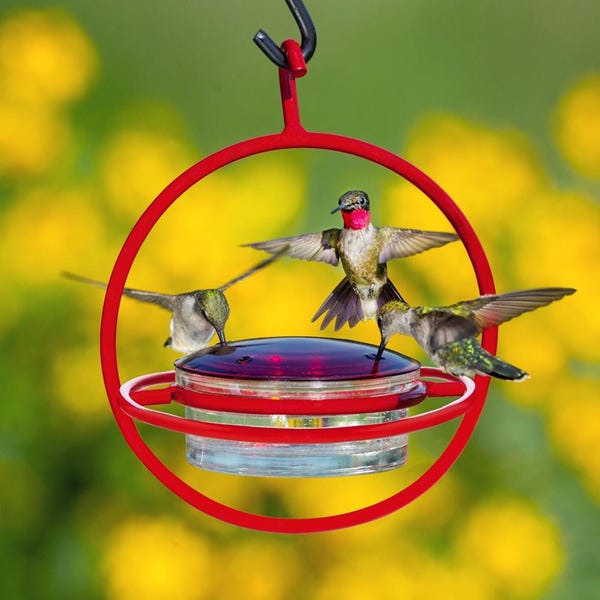 Hummble Bold Hummingbird Feeder - Recycled Glass & Metal - Garden Gift for Her - 4 Port Nectar Dish, Eco-Friendly Outdoor Hanging Décor