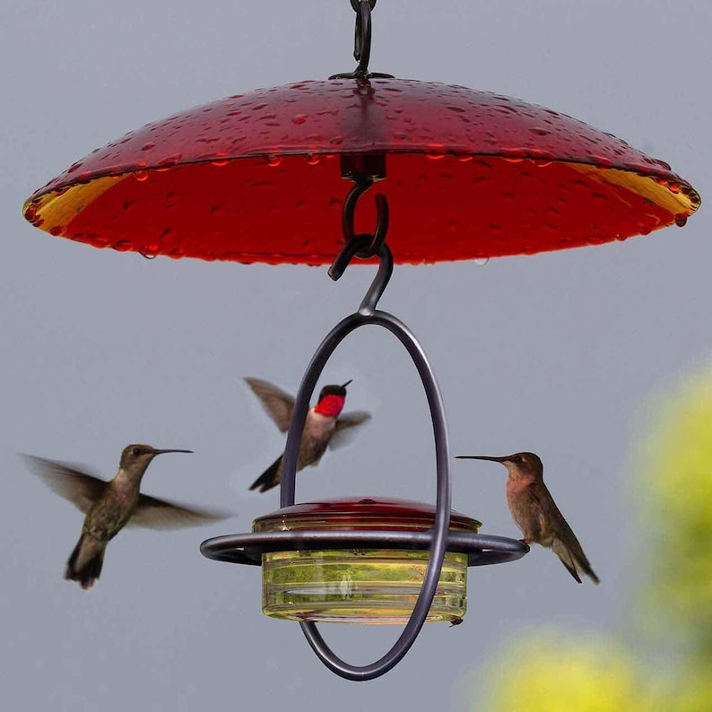 Hummble Bold Hummingbird Feeder - Eco-Friendly Recycled Glass & Metal, Garden Gift for Her - 4 Port Nectar Dish for Outdoor Hanging Decor image 10