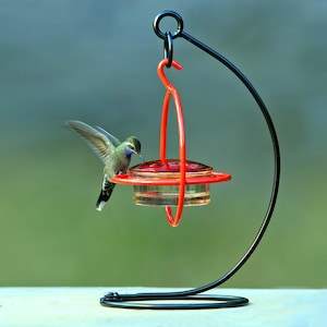 A hummingbird hovers near an orange-framed, red-lidded, clear glass feeder, which hangs from a black metal shepherd's hook.