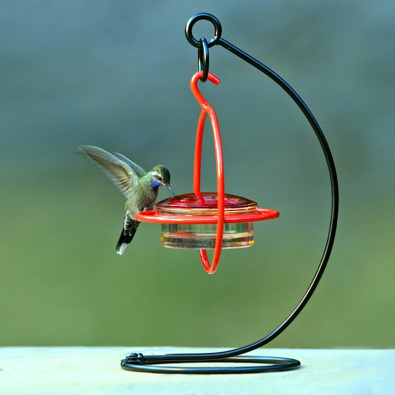 A hummingbird hovers near an orange-framed, red-lidded, clear glass feeder, which hangs from a black metal shepherd's hook.
