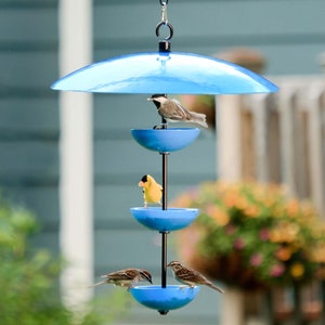 May include: A blue bird feeder with four feeding stations. The feeder has a blue canopy and is suspended from a hook. There are three birds on the feeder, one yellow and two brown.