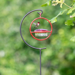 A hummingbird hovers near a red-framed, red-lidded, clear glass feeder, which hangs from a black metal shepherd's hook against a blurry green background.