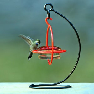 Hummble Bold Hummingbird Feeder image 6