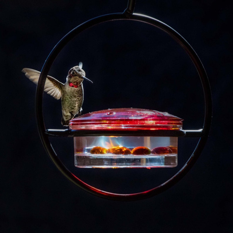 Closeup of our Hummble Slim feeder against a black background. A hummingbird hovers near the feeding ports.