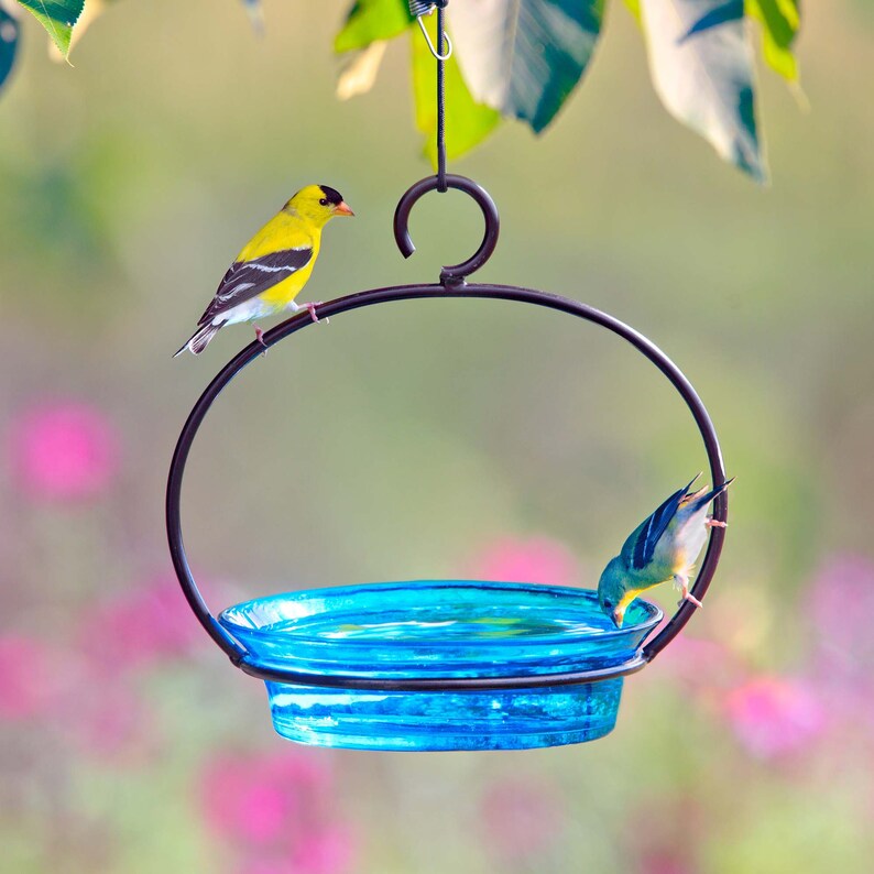 Image of the aqua feeder. Distant flowers and tree leaves are blurred. Two finches are perched on the metal hanger ready to refuel and have a sip of water.