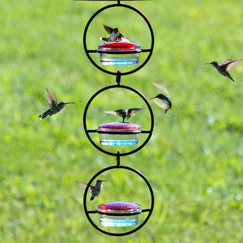 Three Hummingbird feeders hang in a straight line like a chain. Each feeder includes a vertical circular metal outer band. At the bottom of each circle, a clear easy to wash dish is displayed with a removable red glass lid.