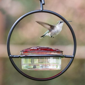 Closeup of our Hummble Slim feeder against a blurred background of foliage. A hummingbird flies away after refueling.