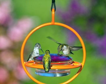 Hummble Bold Hummingbird Feeder