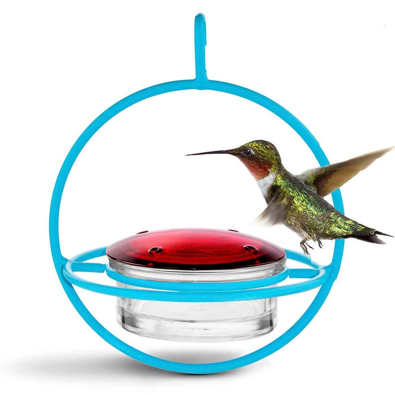 Hummble Bold Hummingbird Feeder - Eco-Friendly Recycled Glass & Metal, Garden Gift for Her - 4 Port Nectar Dish for Outdoor Hanging Decor Aqua