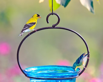 Hanging Garden Bird Bath and Feeder | Decorative Birdbaths & Feeders for Birds, Outdoor Yard Decor and Unique Gift for Her
