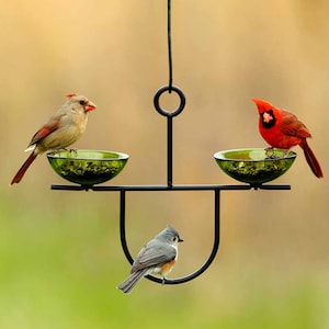 Side by Side Poppy Bird Feeder | Hanging Bird Feeder for Garden and Yard Decor – A Unique Outdoor Gift for Her and Bird Lovers