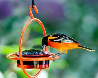 Hummble Bold Bird Feeder