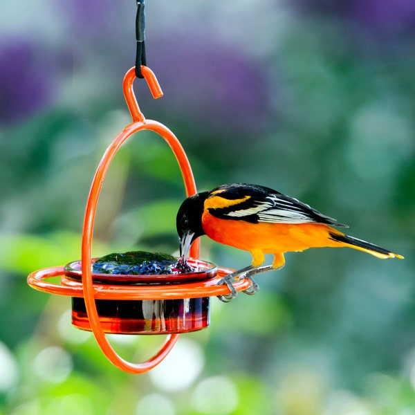 Hummble Bold Bird Feeder