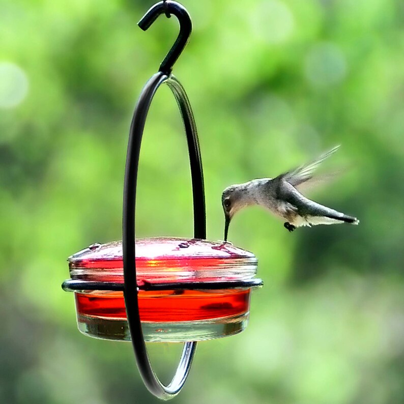 Closeup of our Hummble Slim feeder set against a background of green foliage. A hungry hummingbird hovers while refueling at one of the four feeding ports.