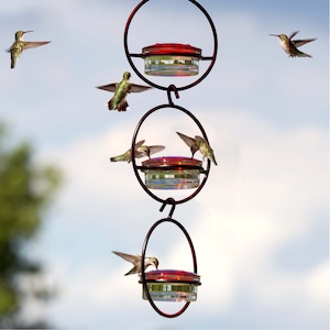 Three of our Hummble Slim feeders linked vertically like a chain. Multiple hungry hummingbirds hover around the feeding ports.