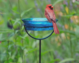 Staked Garden Bird Bath and Bird Feeder | Hummingbird Glass Feeder | Outdoor Gift for her with Metal frame