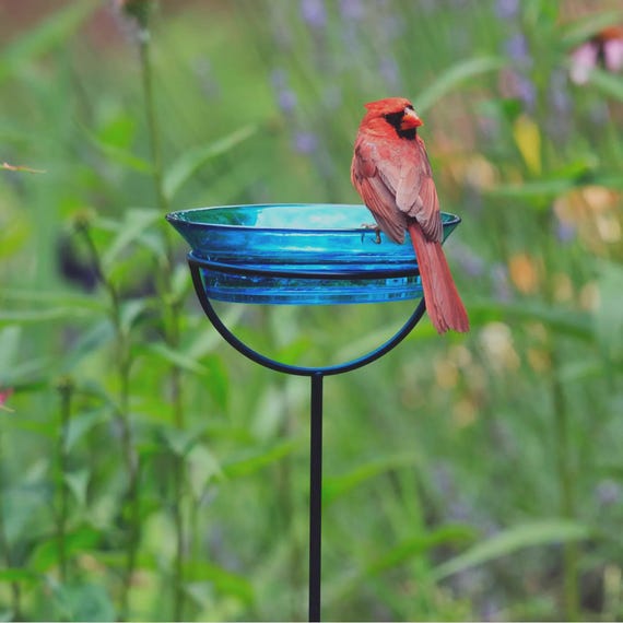 Bird Bath & Bird Feeder Garden Stake – Sturdy Metal Frame, 20 oz, Cardinal and Songbird Glass Feeder for Outdoor Decor or Gift for Her