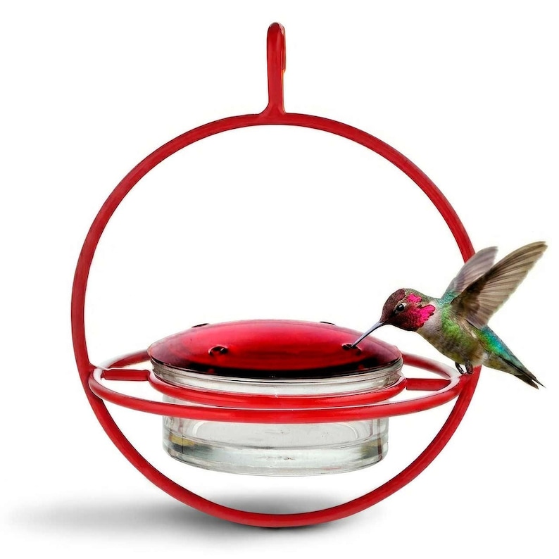 Hummble Bold Hummingbird Feeder - Eco-Friendly Recycled Glass & Metal, Garden Gift for Her - 4 Port Nectar Dish for Outdoor Hanging Decor Red