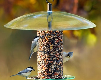 360 Degree Seed Cylinder Bird Feeder