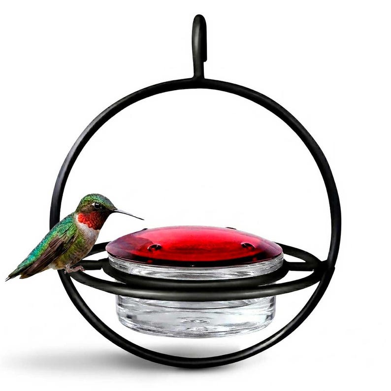 Hummble Bold Hummingbird Feeder - Eco-Friendly Recycled Glass & Metal, Garden Gift for Her - 4 Port Nectar Dish for Outdoor Hanging Decor Black