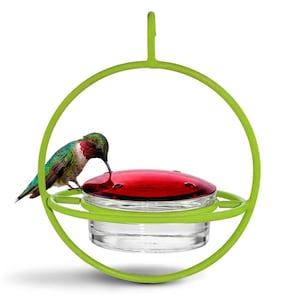 Hummble Bold Hummingbird Feeder - Eco-Friendly Recycled Glass & Metal, Garden Gift for Her - 4 Port Nectar Dish for Outdoor Hanging Decor Green